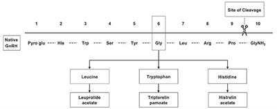 Gonadotropin-releasing hormone analog therapies for children with central precocious puberty in the United States